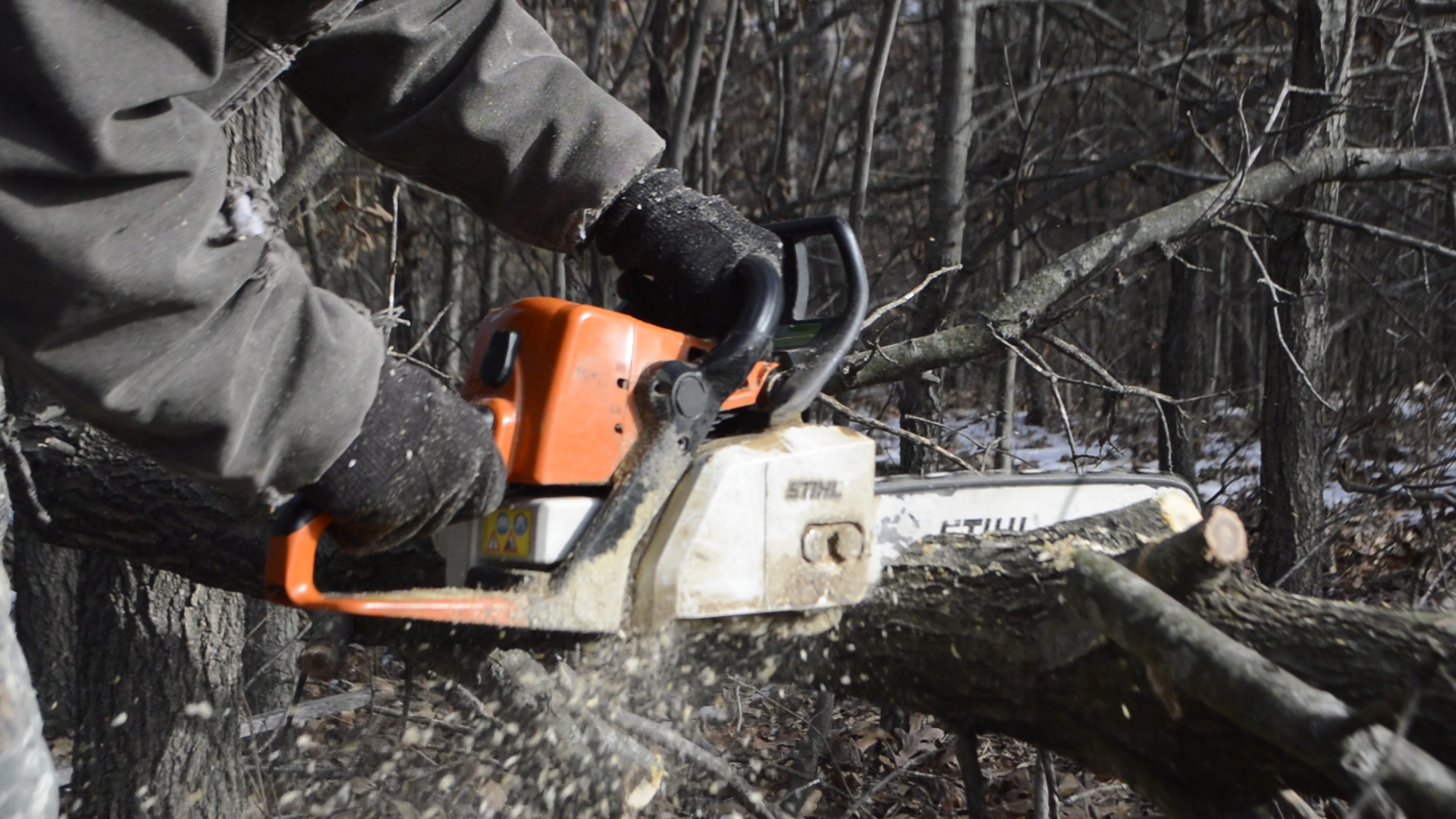 Timber Cutting