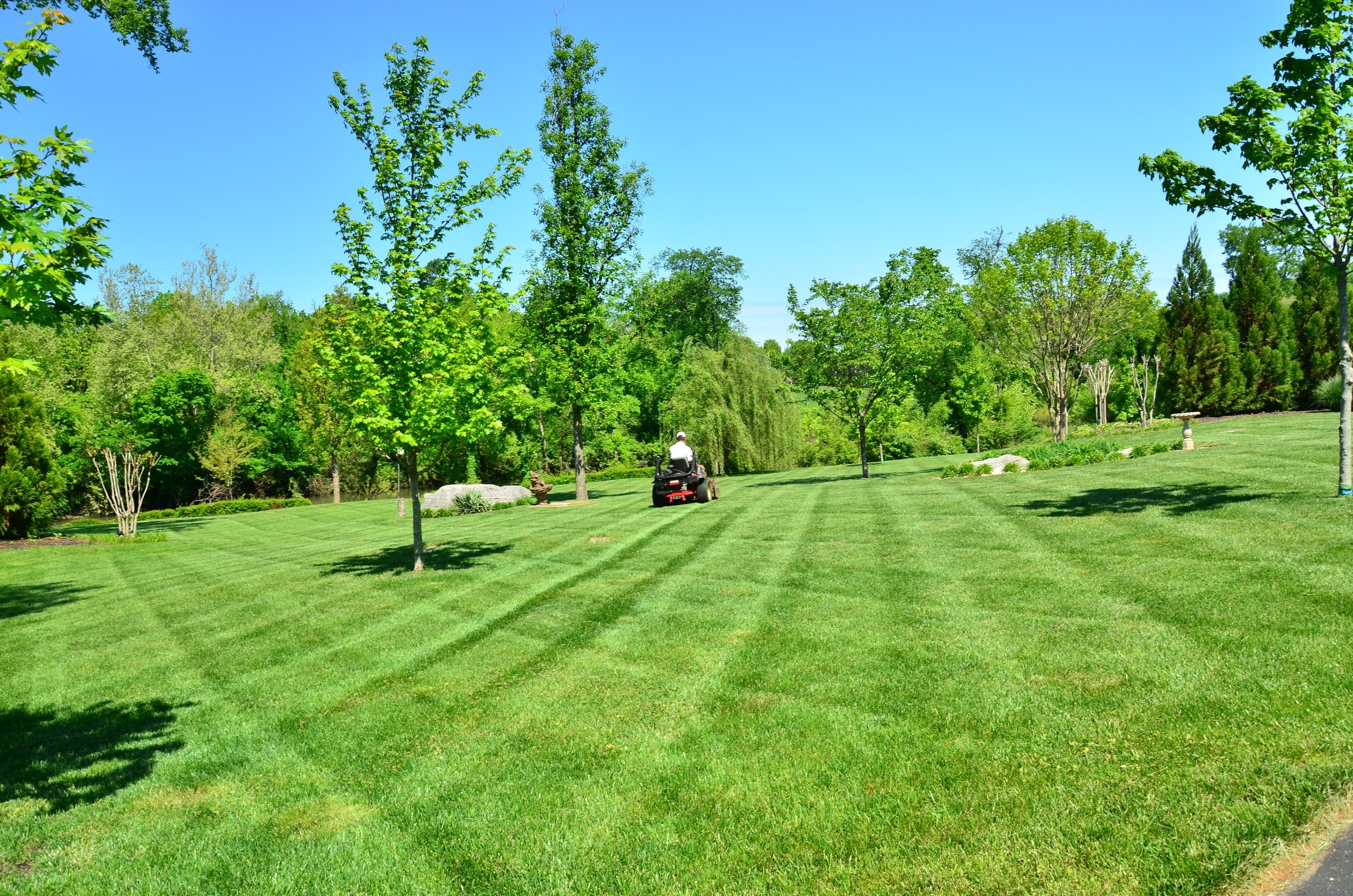 lawn-care-643557